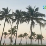 florida-instagram-captions