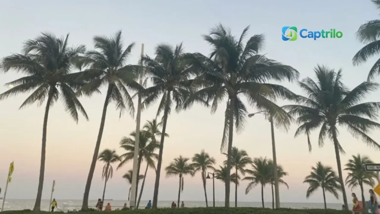 florida-instagram-captions