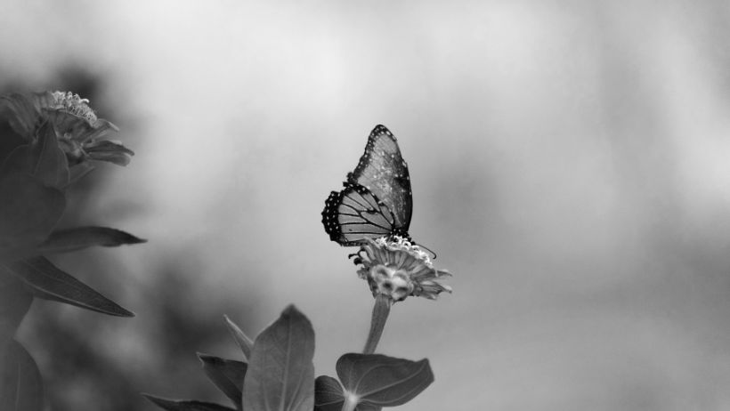 Black White Captions Instagram