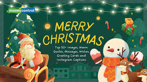 Christmas Cookie Captions Instagram 