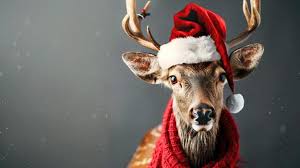 Christmas Reindeer Captions Instagram