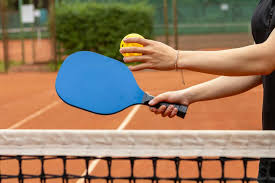 Pickleball Captions Quotes for instagram