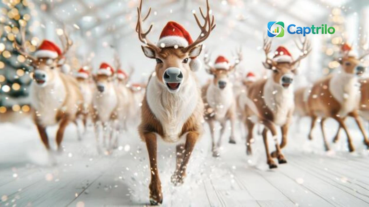 Christmas Reindeer Captions for Instagram