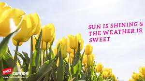 Sunshine Captions Instagram
