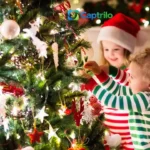 Christmas Tree Captions Instagram