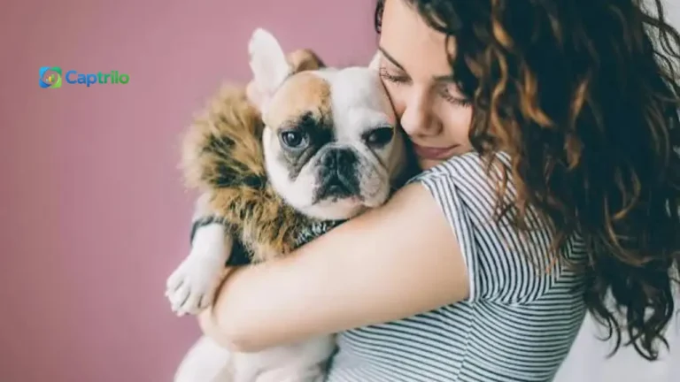 Dog Valentines Captions Instagram