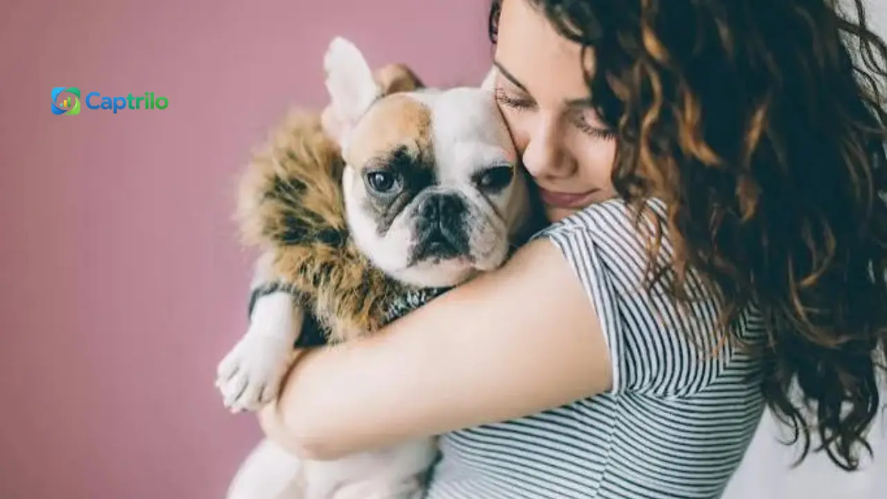 Dog Valentines Captions Instagram