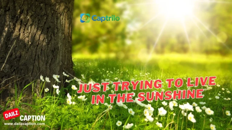 Sunshine Captions Instagram