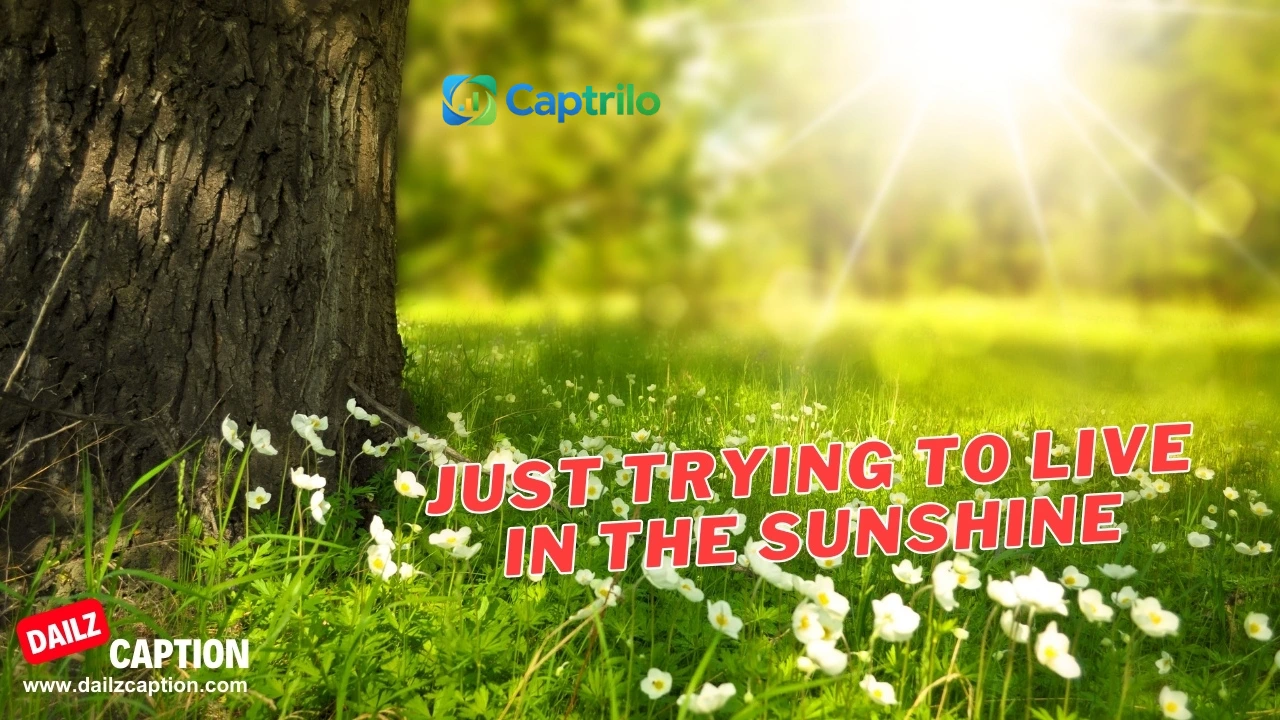 Sunshine Captions Instagram