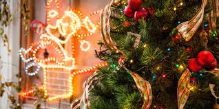 Christmas Tree Captions Instagram