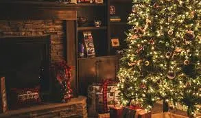 Christmas Tree Captions Instagram