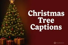 Christmas Tree Captions Instagram