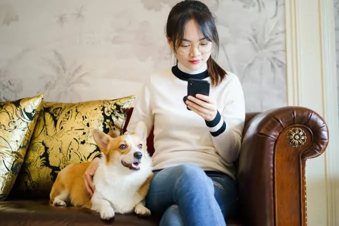 Dog Valentines Captions Instagram